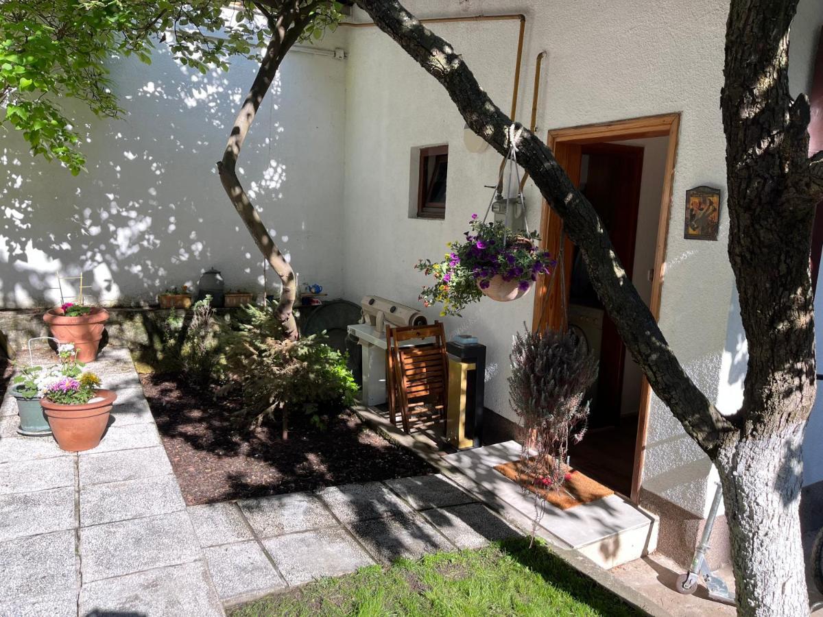 Apartments Music, Garden And Parking サラエヴォ エクステリア 写真