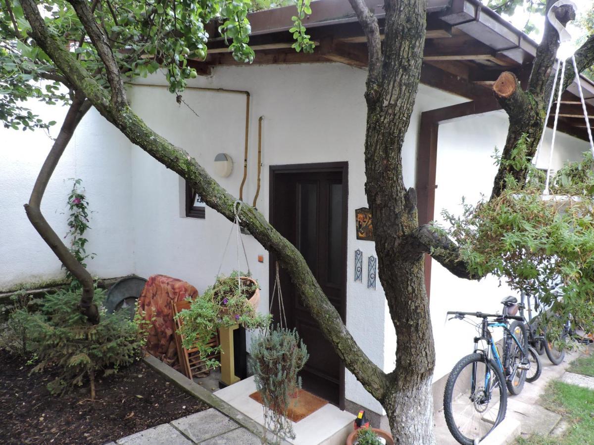 Apartments Music, Garden And Free Parking サラエヴォ エクステリア 写真